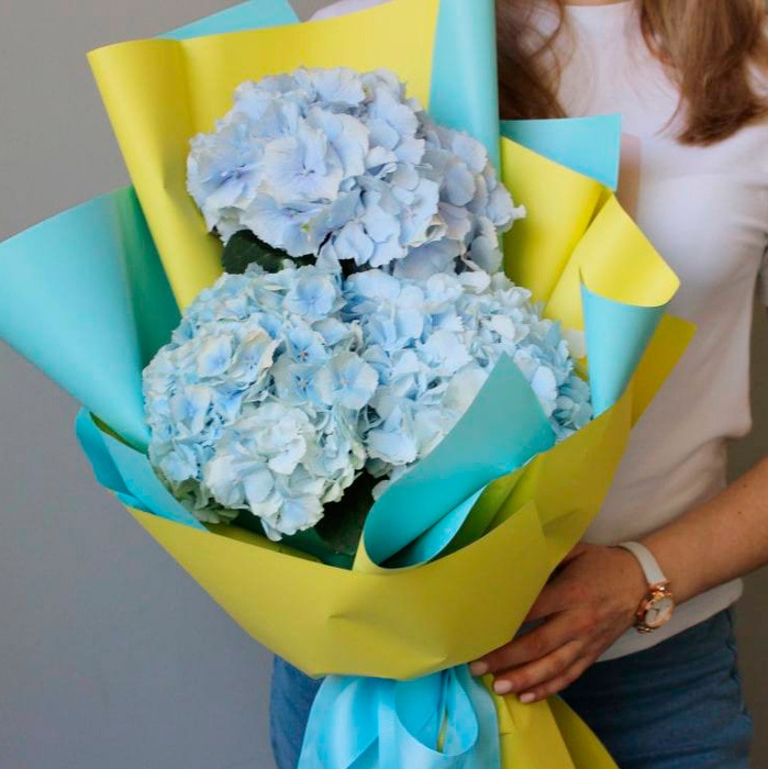 Всплеск эмоций